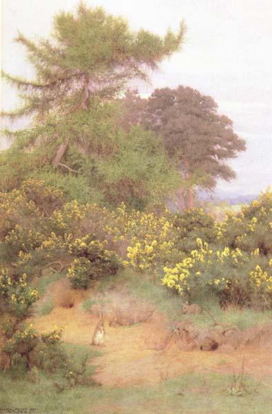 George Marks At the Edge of Shere Heath (mk46) oil painting picture